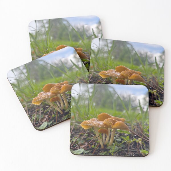 Item preview, Dewy Mushrooms Photograph designed and sold by SeaChelly .