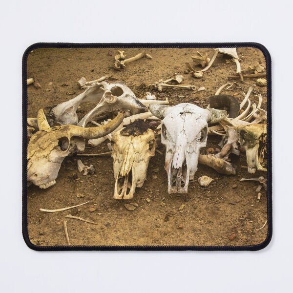 Item preview, animal bones designed and sold by felipequeiroz.