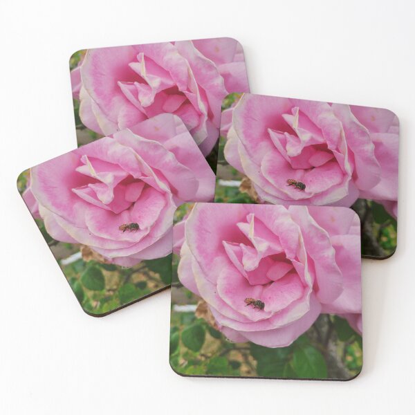 Item preview, Bee Napping in a Rose designed and sold by CreationsByMS20.