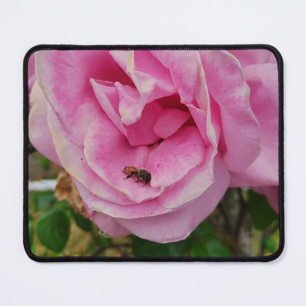 Item preview, Bee Napping in a Rose designed and sold by CreationsByMS20.