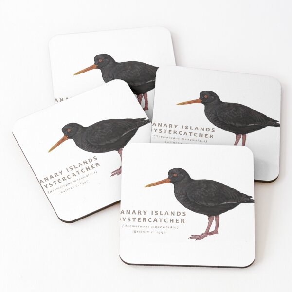 Item preview, Canary Islands Oystercatcher designed and sold by Haliaeetus.