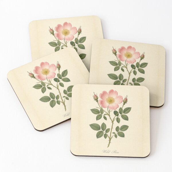 Item preview, Antique Wild Rose Vintage Botanical Illustration designed and sold by NuvoraNest.