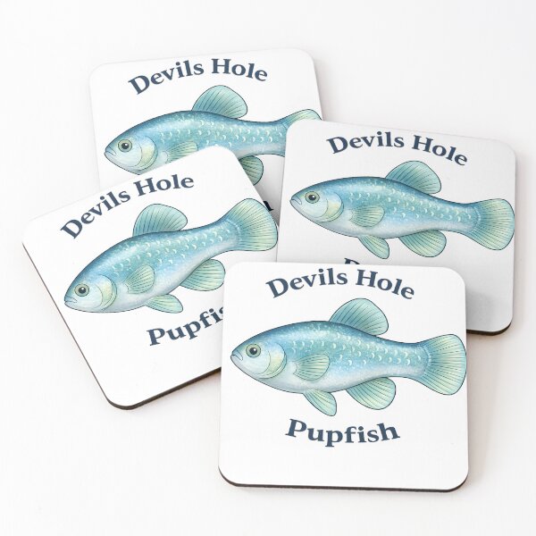 Item preview, Devils Hole Pupfish designed and sold by Sebadtable.