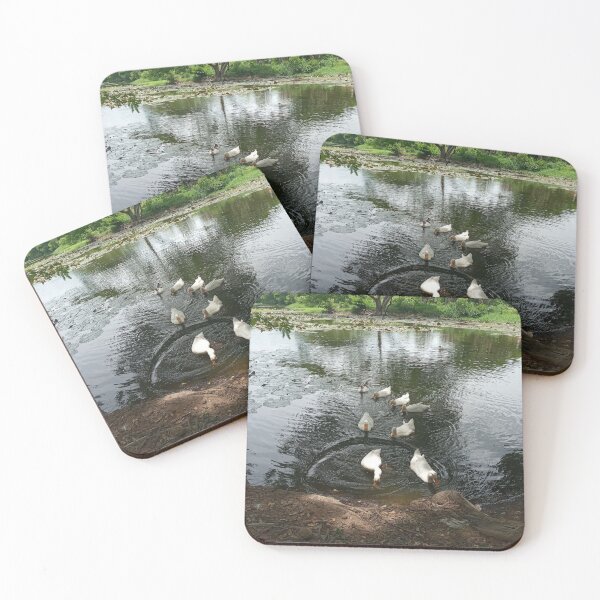 Item preview, White Ducks Swimming in a Peaceful Pond designed and sold by Dollacha.