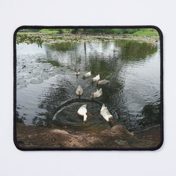 Item preview, White Ducks Swimming in a Peaceful Pond designed and sold by Dollacha.
