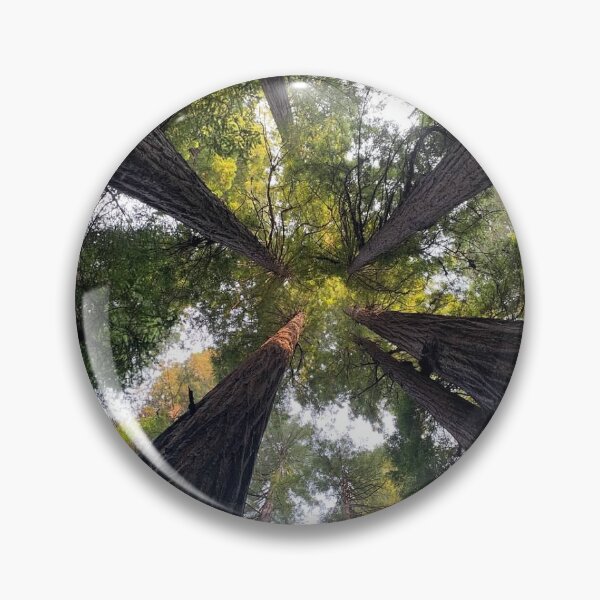 Item preview, Redwood Tree Canopy designed and sold by Tammy's Handmade Gifts.