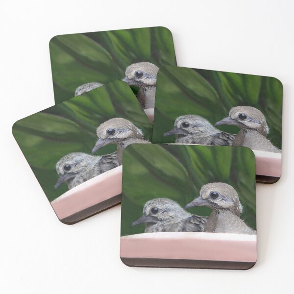 Item preview, Mourning Dove Babies designed and sold by heatherfriedman.