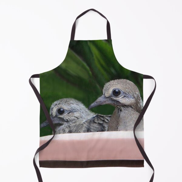 Item preview, Mourning Dove Babies designed and sold by heatherfriedman.