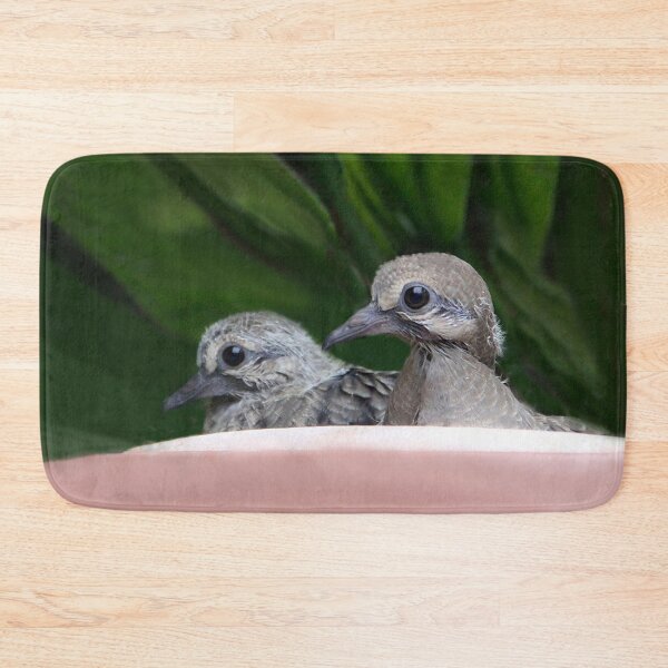 Item preview, Mourning Dove Babies designed and sold by heatherfriedman.