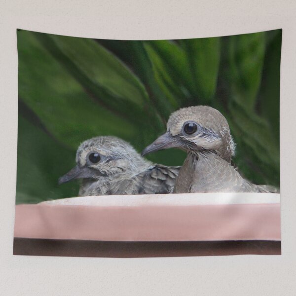 Item preview, Mourning Dove Babies designed and sold by heatherfriedman.
