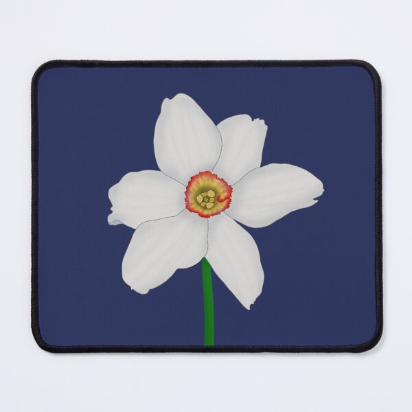 Item preview, Pheasant's Eye Daffodil(Narcissus poeticus) designed and sold by Floralfusion.