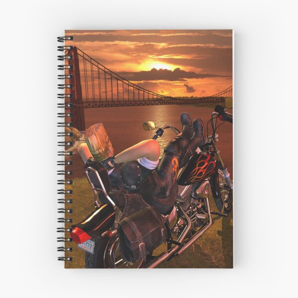 Item preview, Paul Phoenix Sunset art - Tekken 3 designed and sold by zerocult.