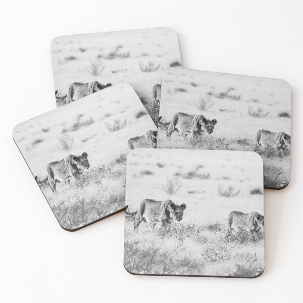 Item preview, Lion Cubs of the Kalahari In Black and White designed and sold by Kay Brewer.