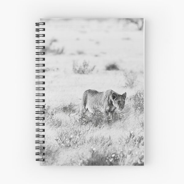 Item preview, Lion Cubs of the Kalahari In Black and White designed and sold by Kay Brewer.