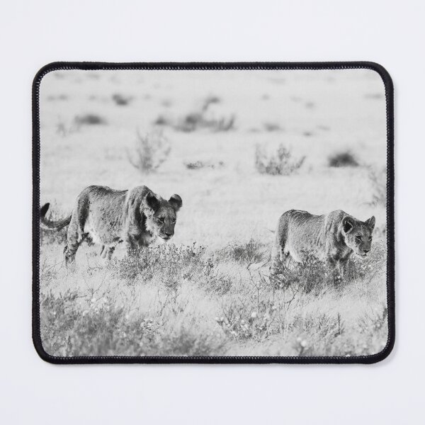 Item preview, Lion Cubs of the Kalahari In Black and White designed and sold by Kay Brewer.