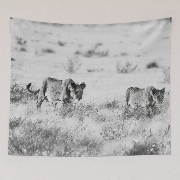 Item preview, Lion Cubs of the Kalahari In Black and White designed and sold by Kay Brewer.