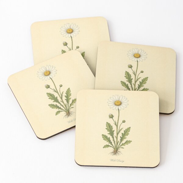 Item preview, Antique Wild Daisy Vintage Botanical Illustration designed and sold by NuvoraNest.