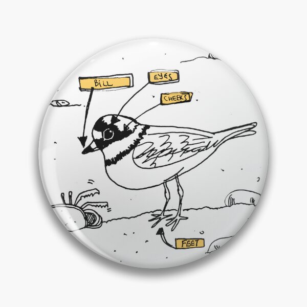 Item preview, Bird Art: Anatomy of a Semipalmated Plover designed and sold by Beagleamarelo.