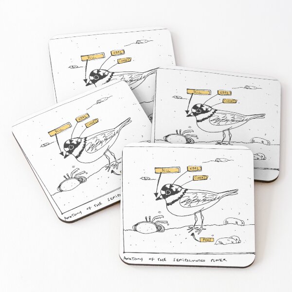 Item preview, Bird Art: Anatomy of a Semipalmated Plover designed and sold by Beagleamarelo.