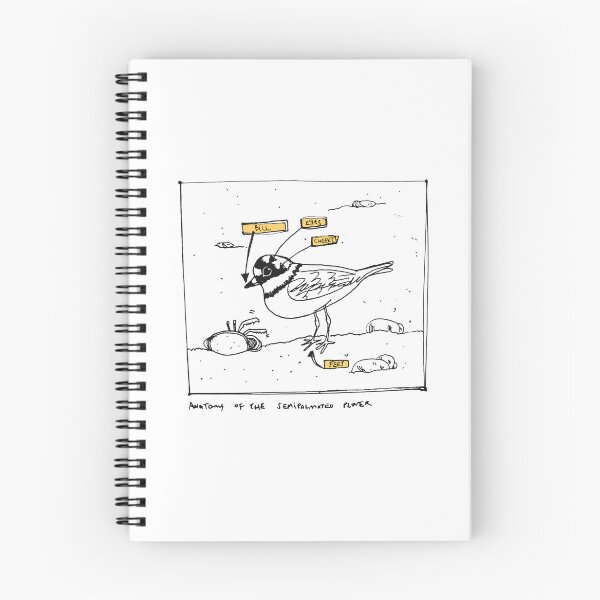 Item preview, Bird Art: Anatomy of a Semipalmated Plover designed and sold by Beagleamarelo.
