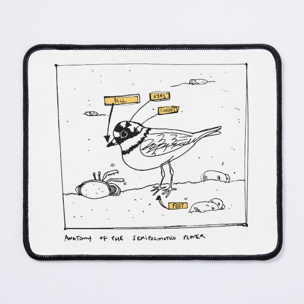 Item preview, Bird Art: Anatomy of a Semipalmated Plover designed and sold by Beagleamarelo.