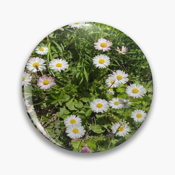 Item preview, Sunny English Daisy Patch Wildflower Meadow designed and sold by BalkanBloom.