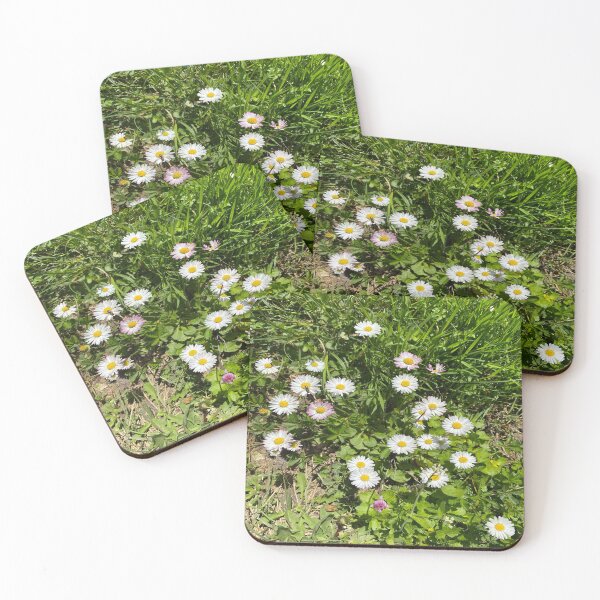 Item preview, Sunny English Daisy Patch Wildflower Meadow designed and sold by BalkanBloom.