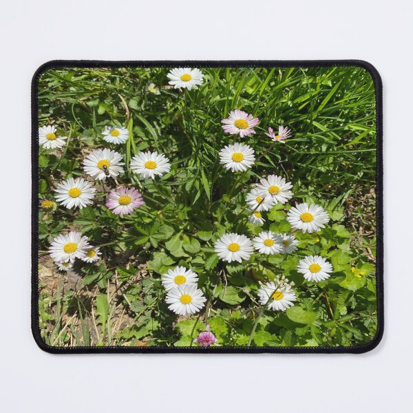 Item preview, Sunny English Daisy Patch Wildflower Meadow designed and sold by BalkanBloom.