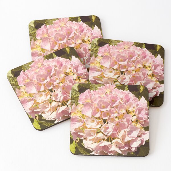 Item preview, Vintage Sun Drenched Pink Hydrangea Bush Bloom designed and sold by BalkanBloom.