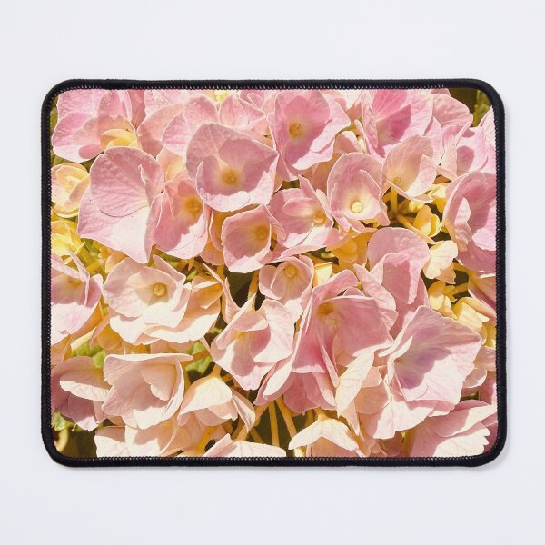 Item preview, Vintage Sun Drenched Pink Hydrangea Bush Bloom designed and sold by BalkanBloom.