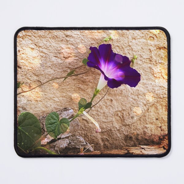 Item preview, Morning Glory Stretch designed and sold by Karirose Art.