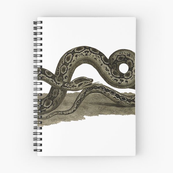 Item preview, The Great Boa designed and sold by SirBilliamTheThird .