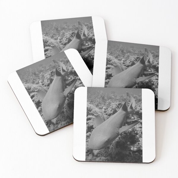 Item preview, Guanaja Nurse Shark designed and sold by Mulz08.