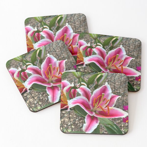Item preview, Star Gazer Lilly designed and sold by Mulz08.