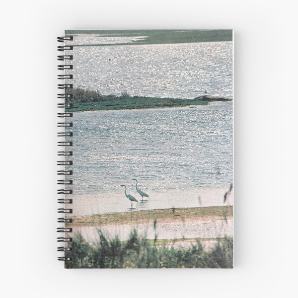 Item preview, egrets in marshland nature photo designed and sold by veggiecollages.