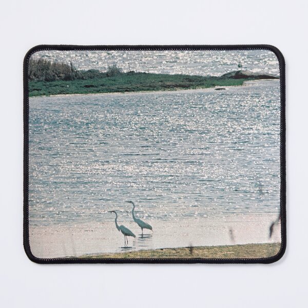 Item preview, egrets in marshland nature photo designed and sold by veggiecollages.