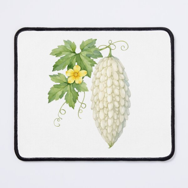 Item preview, Watercolor White Bitter Melon  designed and sold by silviaol.