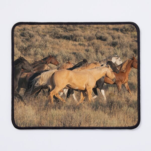 Item preview, Driving The Herd Into Golden Light designed and sold by AlsknMommaBear2.