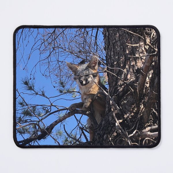 Item preview, Desert Fox in New Mexico designed and sold by Neka Designs Arizona.