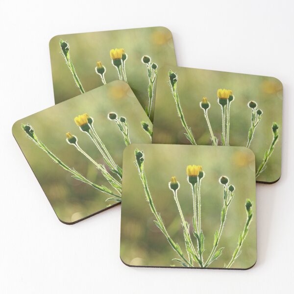 Item preview, Just Shine designed and sold by Olivia Plasencia.