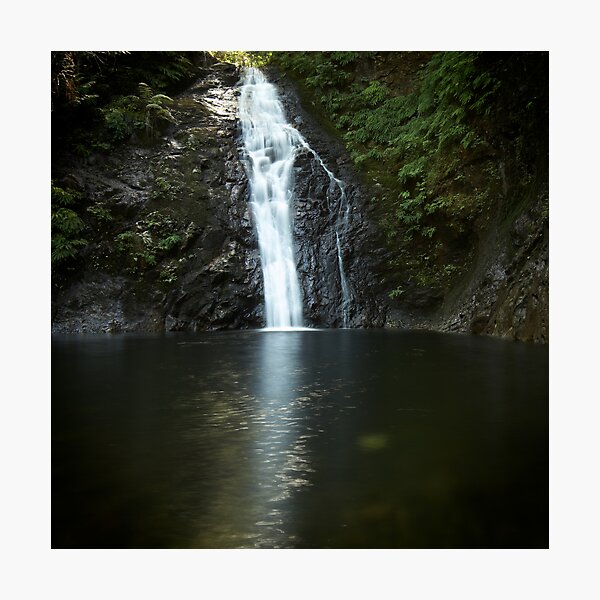 Aperçu de l'œuvre Crystal Falls créée et vendue par Bill vander Sluys.