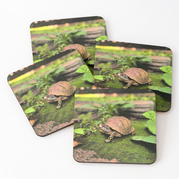 Item preview, Turtle photography  designed and sold by Wil2liam4 Designs.