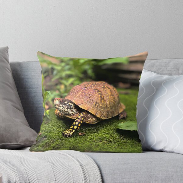 Item preview, Turtle photography  designed and sold by Wil2liam4 Designs.