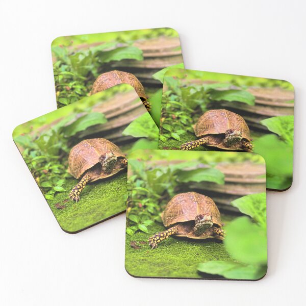 Item preview, Turtle photography 2 designed and sold by Wil2liam4 Designs.
