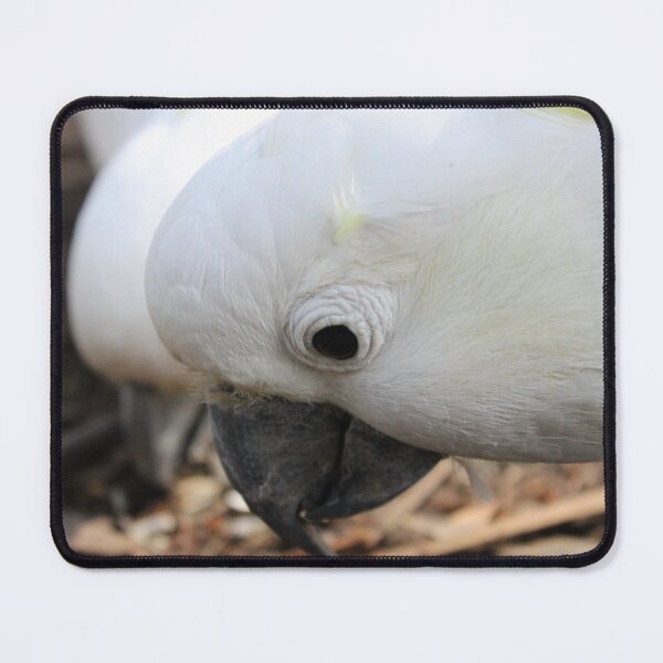 Item preview, Sulphur‑crested Cockatoo designed and sold by HPrespective.