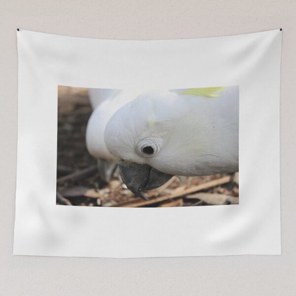 Item preview, Sulphur‑crested Cockatoo designed and sold by HPrespective.