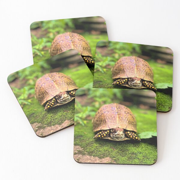 Item preview, Turtle photography e designed and sold by Wil2liam4 Designs.