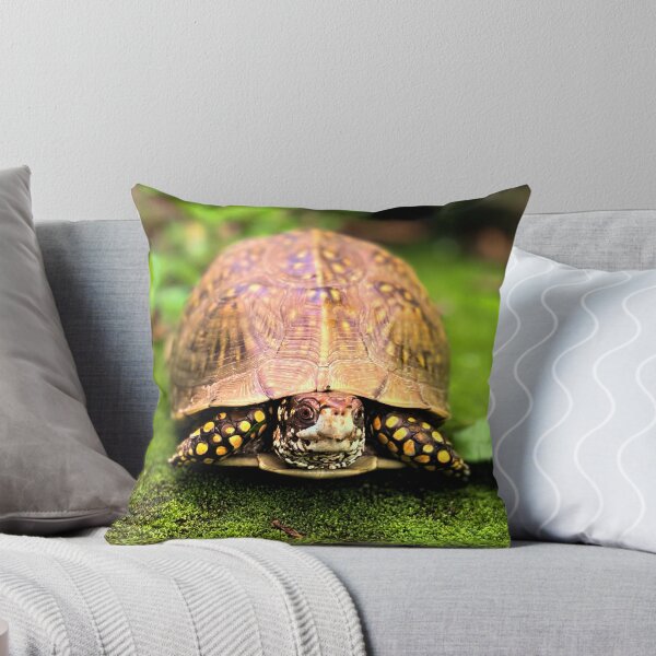 Item preview, Turtle photography e designed and sold by Wil2liam4 Designs.