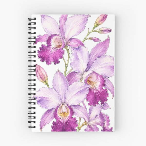 Artikelvorschau, Botanische Studie der Lavendelorchidee entworfen und verkauft von scicilysimonee.
