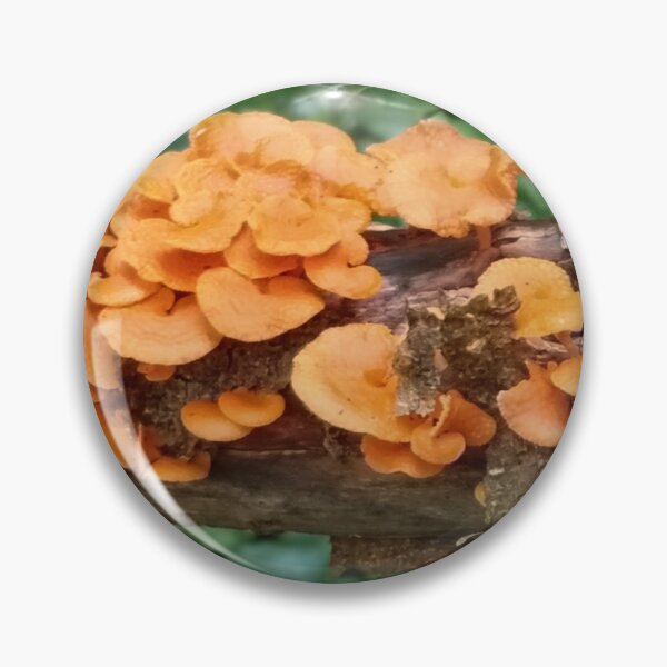 Item preview, Favolaschia calocera designed and sold by HPrespective.